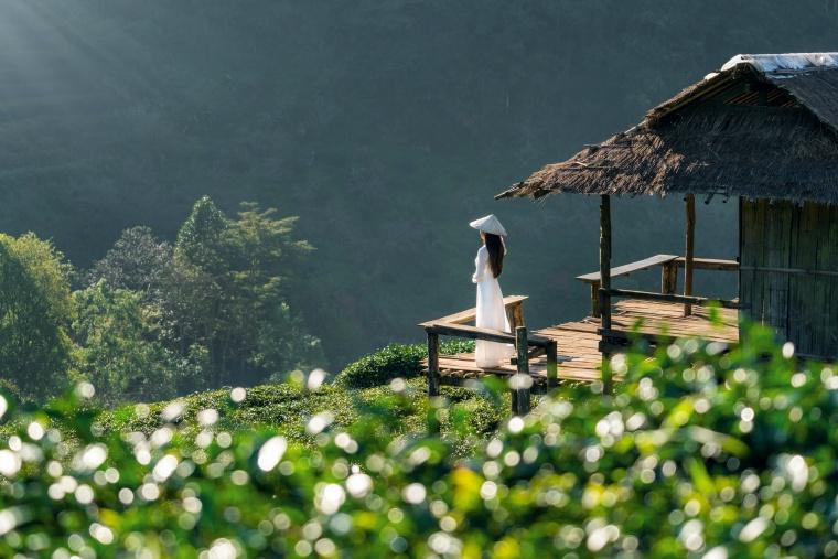 asian-woman-wearing-vietnam-culture-traditional-green-tea-field-doi-ang-khang-chiang-mai-thailand.jpg