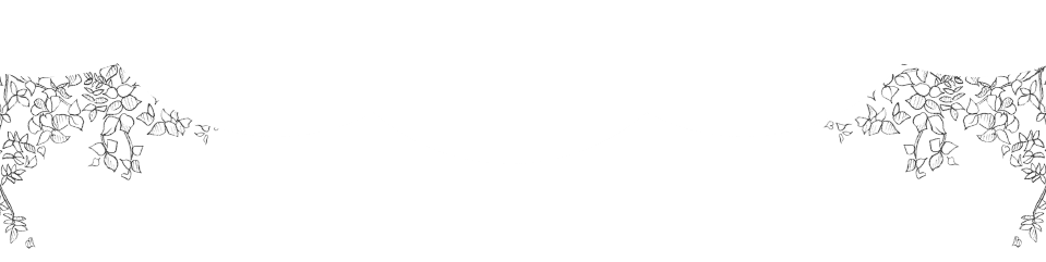ÍդäÑ