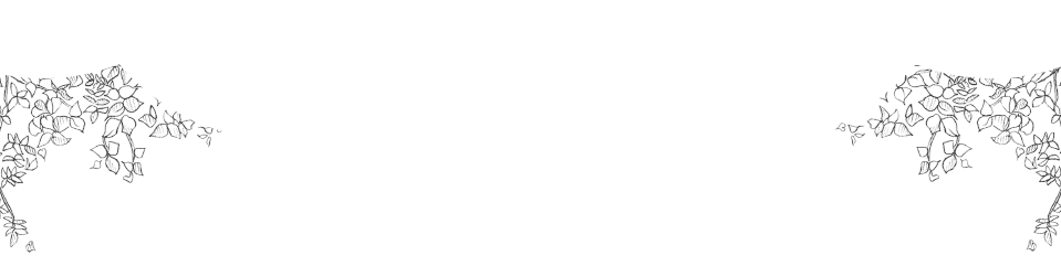 葉っぱ