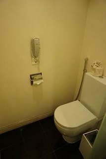 プルマンダナン お部屋 トイレ
