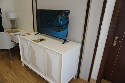 ビンパールホイアン テレビ
