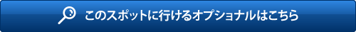 オプショナルはこちら