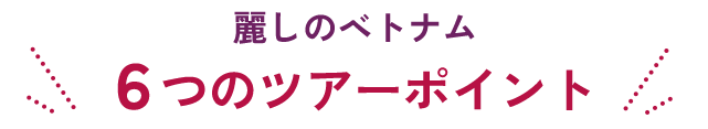 麗しのベトナム 6つのツアーポイント