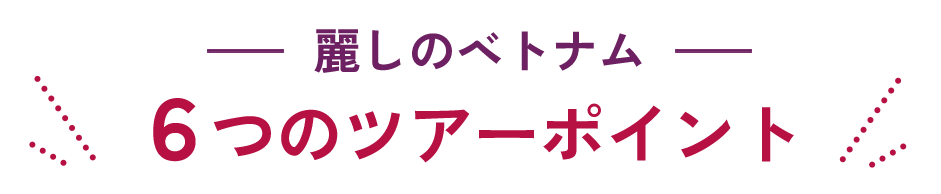 麗しのベトナム 6つのツアーポイント