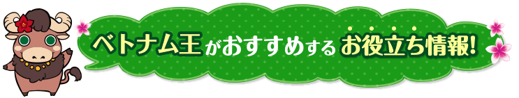 ベトナムツアー 旅行の専門店 ベトナム王