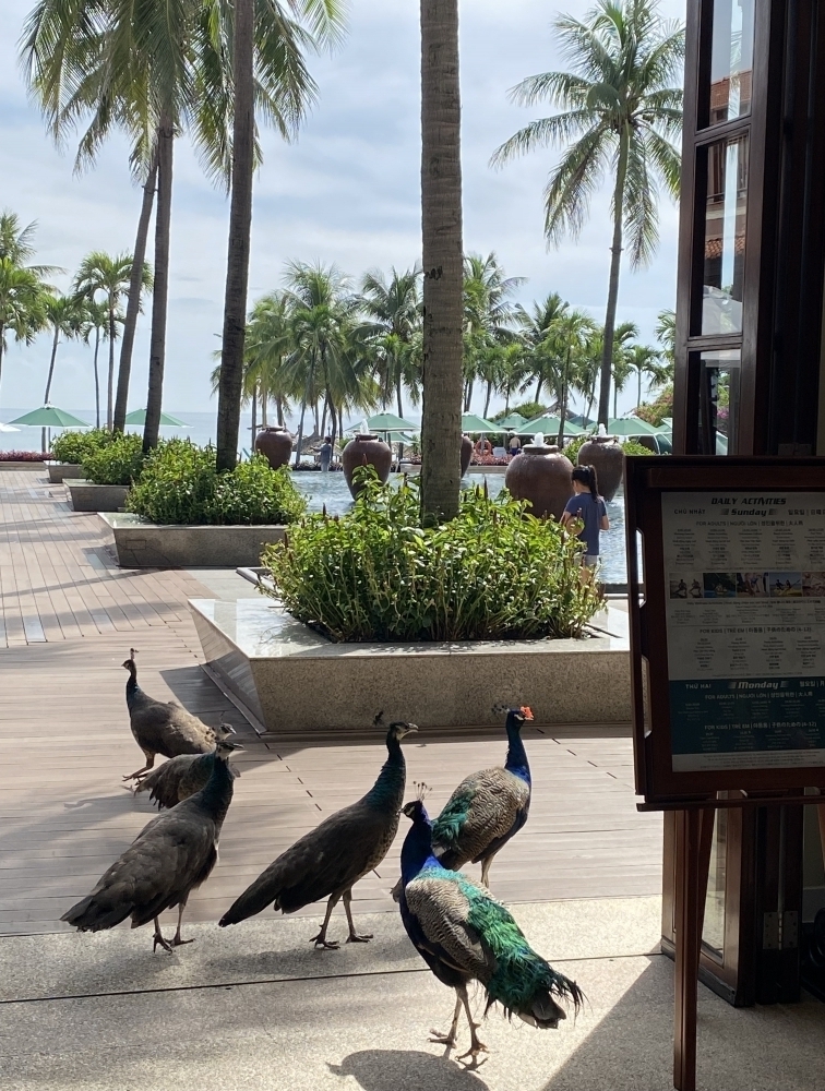 どこを切り取っても絵になるホテルでした-2