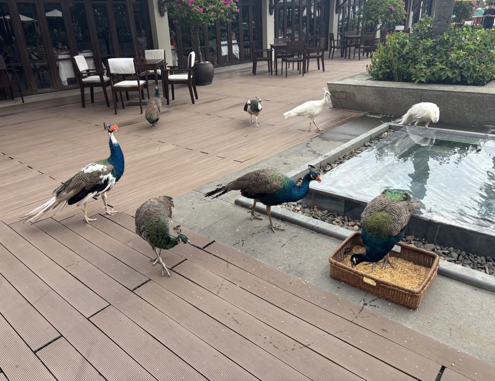 立地よし、サービスよし-5