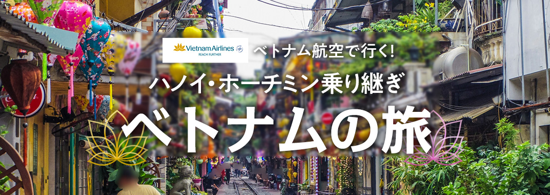 �٥ȥʥ�Ҷ��ǹԤ����ϥΥ����ۡ����ߥ���Ѥ� �٥ȥʥ��ι