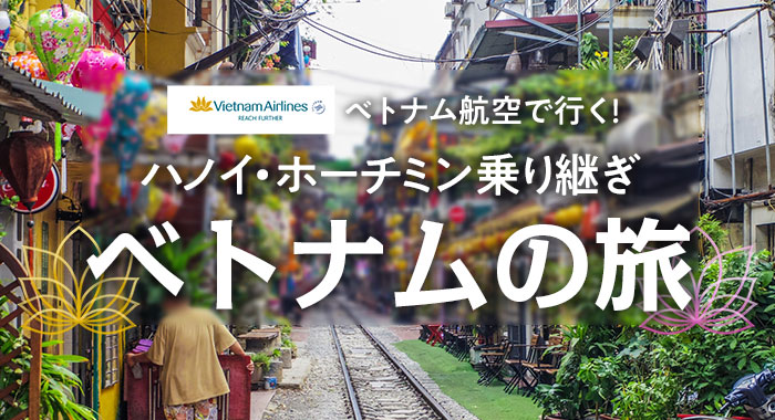 �٥ȥʥ�Ҷ��ǹԤ����ϥΥ����ۡ����ߥ���Ѥ� �٥ȥʥ��ι