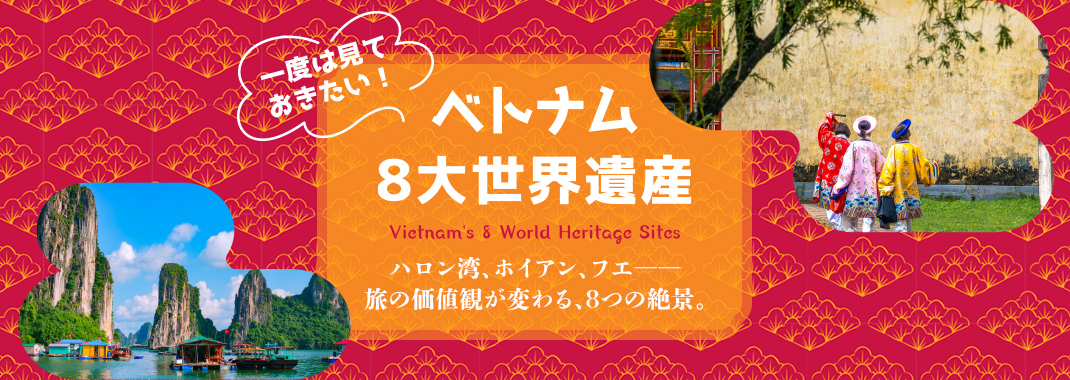 �٥ȥʥ�8�������仺