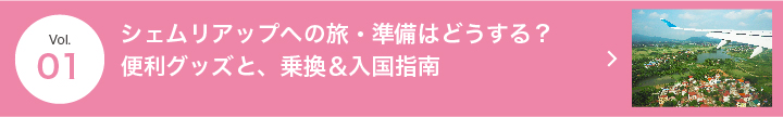 Vol.1 シェムリアップへの旅・準備はどうする?便利グッズと、乗換&入国指南